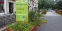 Benjamin Taveau Exemple d'une rue végétale offerte aux riverains..