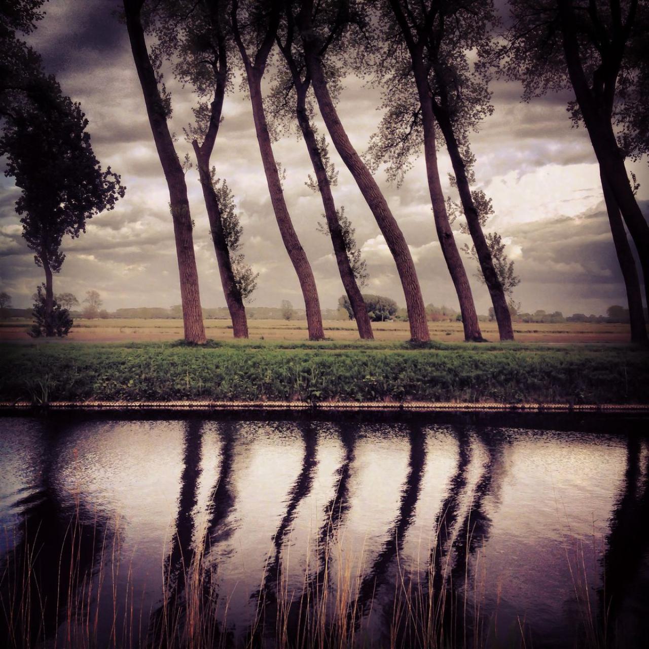 Photo Pierre Volot